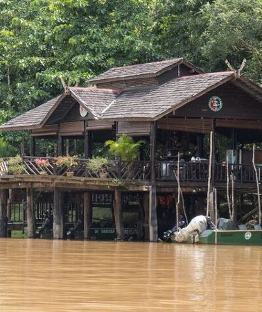 2D1N • Sandakan: 2D1N Sukau Rainforest Wildlife Journey and Cruises