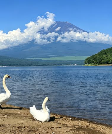 2D1N • Japan + Mount Fuji