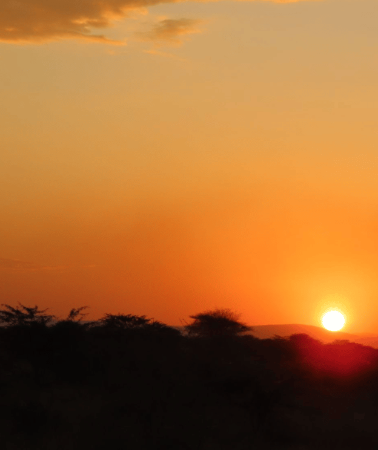 3D2N • From Addis Ababa: 3-Day Awash Game Drive Safari Tour