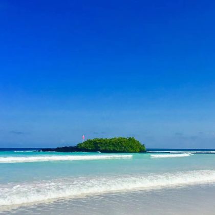 厄瓜多尔7日6晚私家团