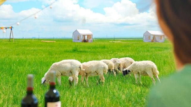 5-Day Scenic Inner Mongolia Private Tour from Hailar· Hulun Buir, Erguna, Manzhouli and Balhu Mongolian Tribe丨Black Mountain Head Riding Horse