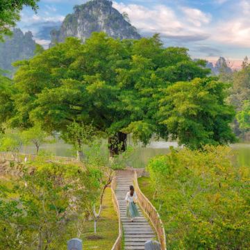 百里柳江旅游景区+龙潭公园+柳州云顶观光+窑埠古镇+鹿寨香桥岩溶国家地质公园4日3晚私家团