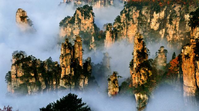 4-Day Adventure Zhangjiajie Group Tour·National Park Wonders & Glass Bridge Thrill