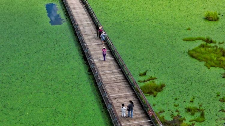 10D9N · Group Tours · Yunnan + Kunming + Tengchong + Mangshi + Xishuangbanna