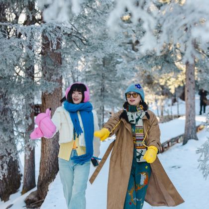 新疆北疆+乌鲁木齐+禾木风景区+喀纳斯+赛里木湖10日9晚拼小团