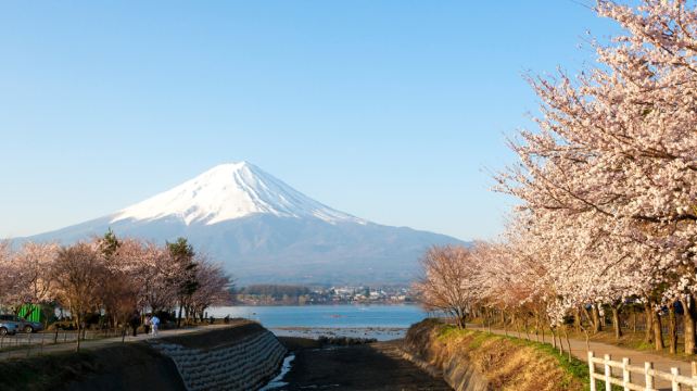 14-Day Classic Japan Tour·Kanazawa, Kyoto, Hiroshima, Mt. Fuji & Tokyo Adventure