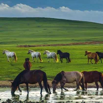 俄罗斯莫斯科+圣彼得堡+伊尔库茨克+贝加尔湖+蒙古乌兰巴托18日跟团游