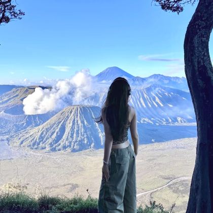 印度尼西亚泗水+赛武千层瀑布+布罗莫火山+罗威纳海滩+乌布+佩妮达岛+巴厘岛9日7晚跟团游
