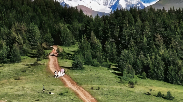 5-day 4-night · Private Tour · Daocheng Yading + Mount Siguniang + Yuzixi