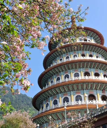 8日7晚 • 台灣西部純玩私家團｜一車一團、零購物無自費 唔做趕行程嘅傳統旅行團，順住寶島西海岸漫遊山水風光、體驗在地人文