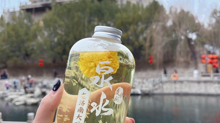 3D2N · Group Tours · Jinan, Mt. Tai & Qufu Tour - All Tickets Included - Expert Guide - 12-Pax Small Group - Foreigner Friendly - Private Van - 1-on-1 Butler