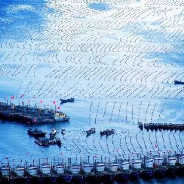 嵊泗+嵊山枸杞景区3日2晚私家团