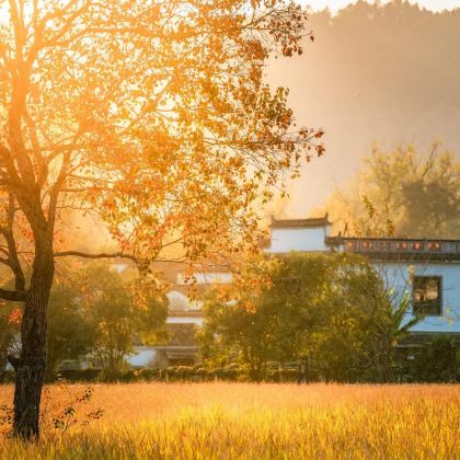 安徽安庆+天柱山+黄山4日3晚自由行