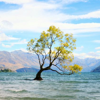 新西兰11日8晚跟团游