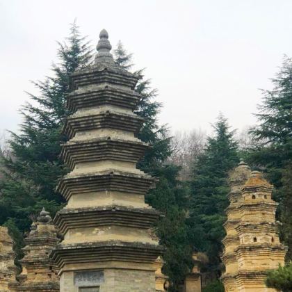 河南郑州+洛阳+开封+云台山风景名胜区4日3晚跟团游