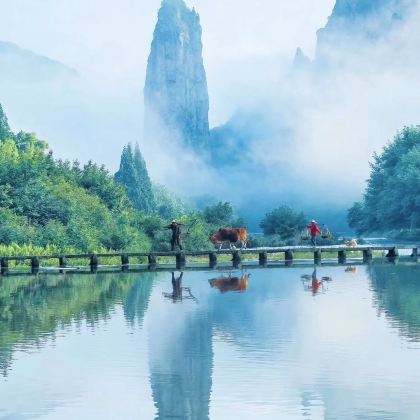 丽水+云和+缙云+松阳+景宁5日4晚私家团