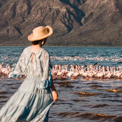 肯尼亚马赛马拉国家公园+肯尼亚山+奈瓦沙8日7晚私家团