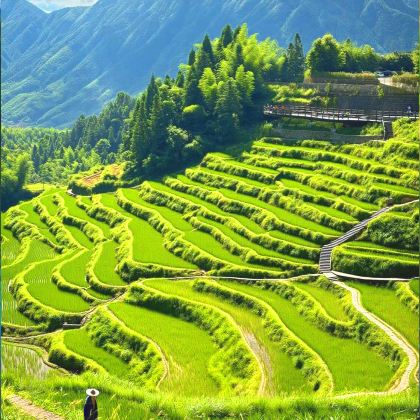 丽水+松阳+缙云4日3晚私家团