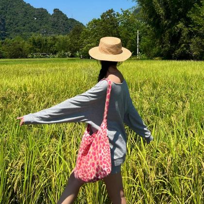 广西南宁+崇左+德天瀑布+明仕田园+通灵大峡谷5日4晚私家团