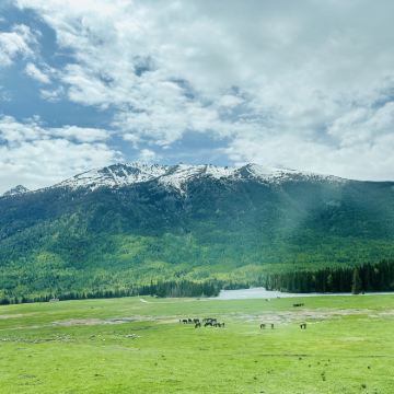 新疆乌鲁木齐+北疆10日9晚私家团