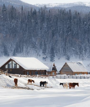 10D9N • Yining City + Tianshan Tianchi + Hemu Scenic Area + Kanas Scenic Area + Sayram Lake + Kuerdening Scenic Area + Nalati Scenic Area
