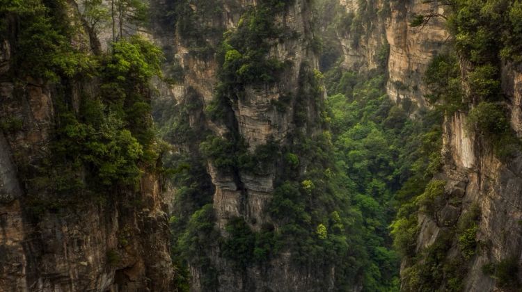 6-Day Immerse yourself in Tianmen Mountain National Forest Park + Zhangjiajie Grand Canyon + Zhangjiajie National Forest Park + Furong Town + Fenghuang Ancient Town