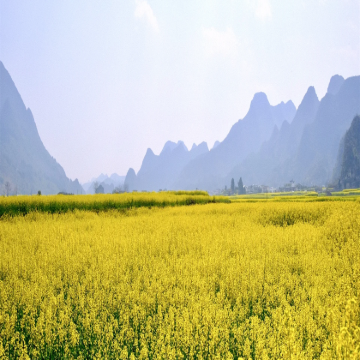 贵州贵阳+黄果树景区+织金洞+万峰林景区+马岭河峡谷景区+青岩古镇+乌蒙大草原6日5晚拼小团