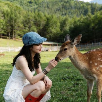 哈尔滨+五大连池市+伊春6日5晚跟团游