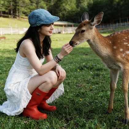 哈尔滨+五大连池市+伊春6日5晚跟团游