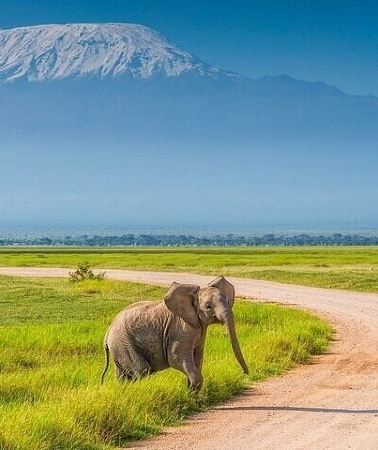 6D5N • 6 Days Group Safari in Mara, Nakuru and Amboseli, Upgraded lodges