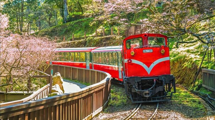 2D1N · Group Tours · Alishan 2Day Shared Tour from Taipei