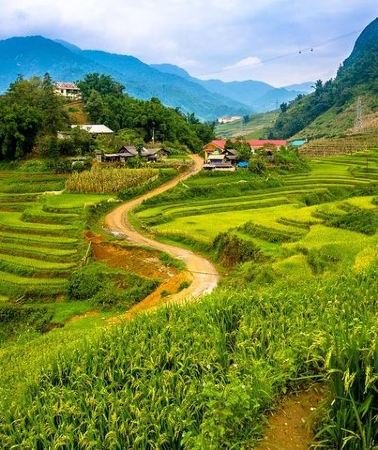 2D1N • Sapa trekking 2days by bus from Hanoi ( over night in homestay)