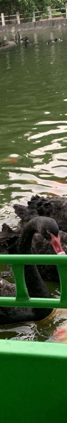 茂名森林公园-茂名