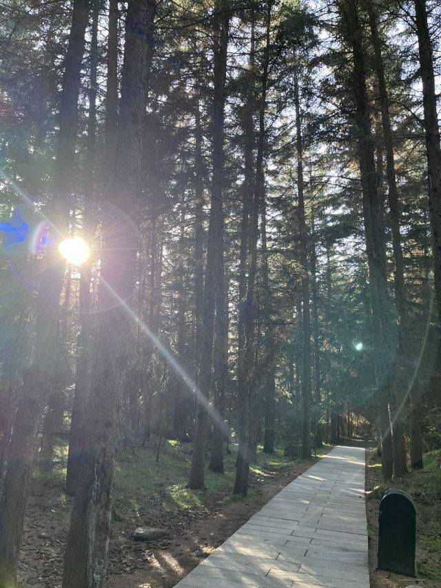 焉支山(暂停开放)旅行图片 7