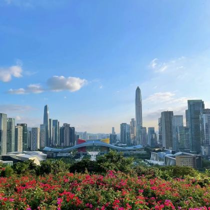 广州+江门+珠海+深圳+香港+澳门7日6晚私家团