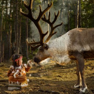 吉林长白山+延吉+哈尔滨+漠河北极村8日7晚拼小团