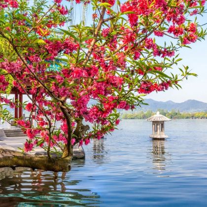 上海+苏州+杭州+扬州+南京+西塘+南浔古镇+乌镇11日10晚私家团