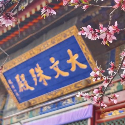 山西五台山3日2晚跟团游