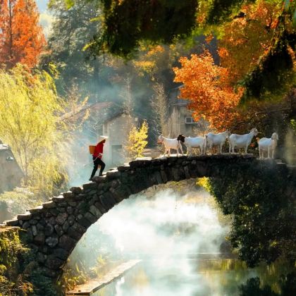 丽水4日3晚拼小团