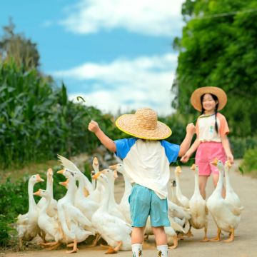 长沙+天门山国家森林公园+张家界国家森林公园+凤凰古城+芙蓉镇13日12晚私家团