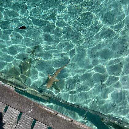 马来西亚吉隆坡+热浪岛8日7晚私家团