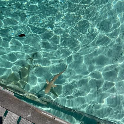 马来西亚吉隆坡+热浪岛8日7晚私家团