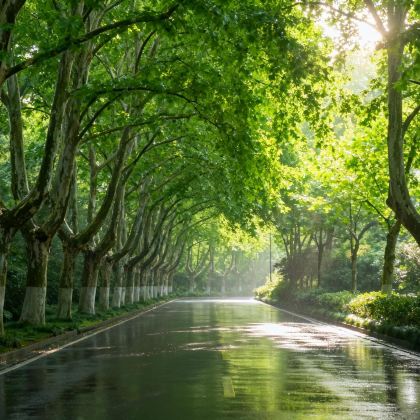 江苏南京+牛首山文化旅游区2日1晚自由行