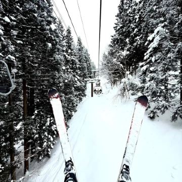 日本东京+白马村滑雪度假区8日7晚自由行