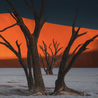 纳米比亚+埃托沙国家公园+鲸湾海滨+死亡谷+颓废方丹+纳米布沙漠+辛巴红泥人部落10日9晚私家团