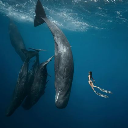 毛里求斯7日6晚拼小团