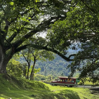 曼谷+清迈5日4晚私家团