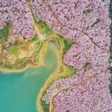 贵州贵阳+黄果树景区+梵净山+镇远县青龙洞+西江千户苗寨+荔波7日6晚私家团