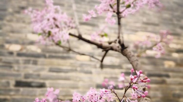 3D2N · Private Tours · Special Offer: Beijing Classic Tour & Simatai Great Wall