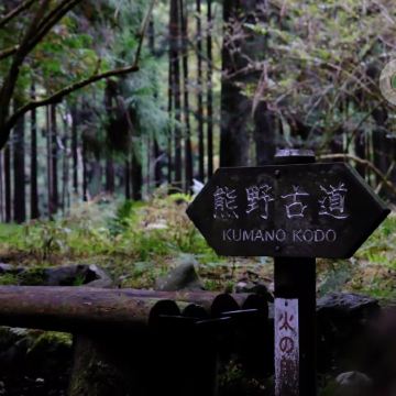 日本大阪+熊野市2日1晚跟团游